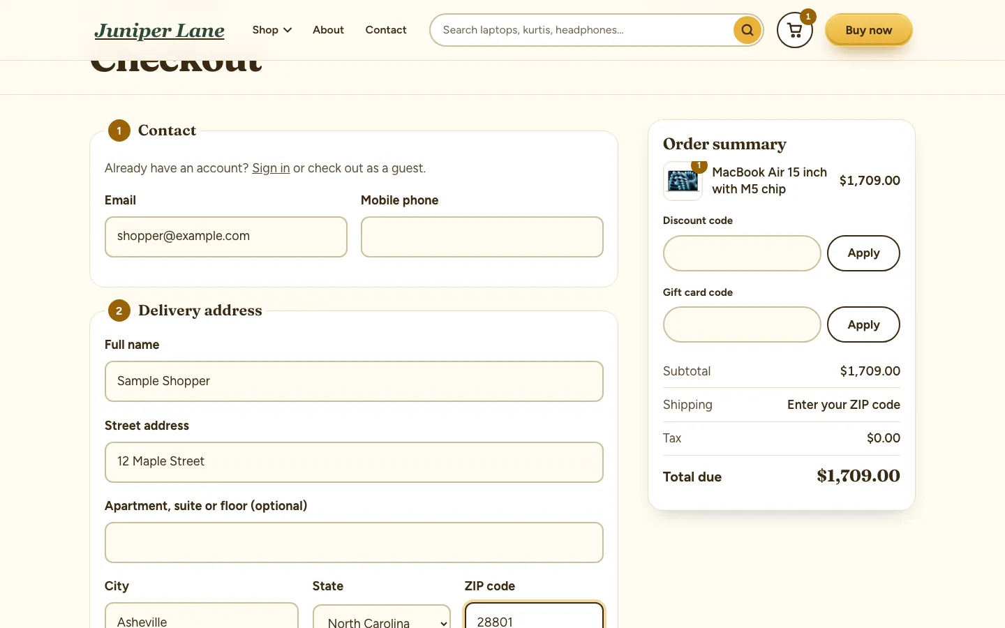 The one-page checkout with contact, delivery, payment and an order summary